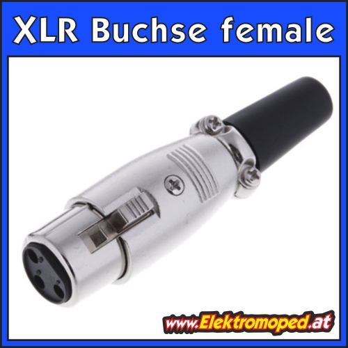 XLR Buchse female