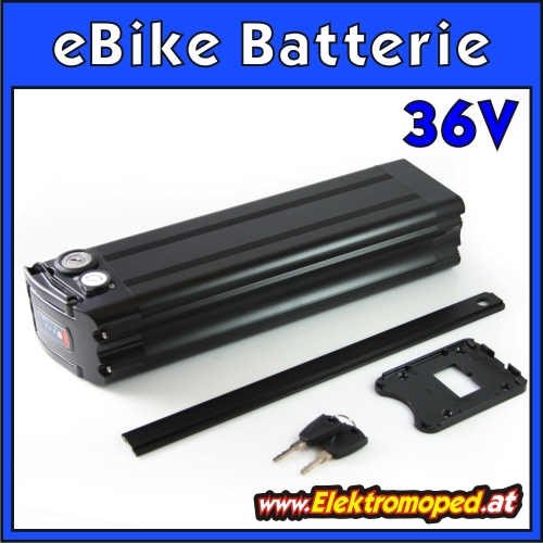 36V Elektro Fahrrad e-Bike Batterie Silver Fish